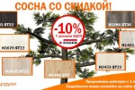 Сосна со скидкой!