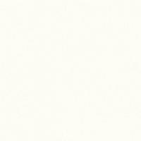 Столешница Эггер Белый Премиум 38мм W1000 ST76 MR