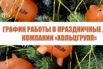 График работы в Новогодние праздники 2018-2019